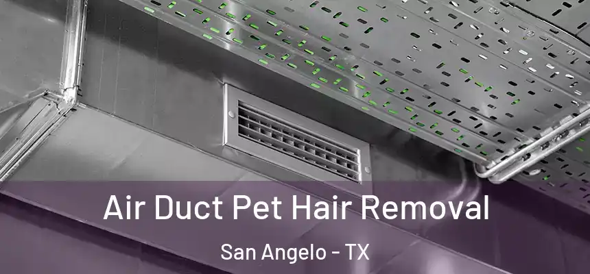  Air Duct Pet Hair Removal San Angelo - TX