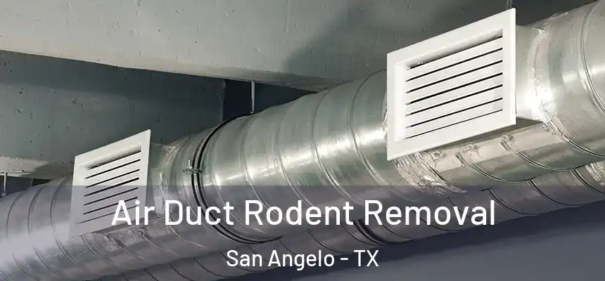  Air Duct Rodent Removal San Angelo - TX