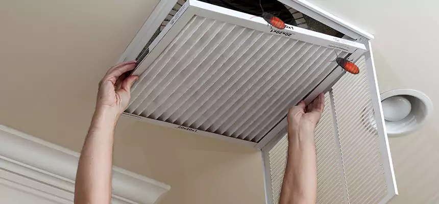 Preventive Cockroach-Proofing for Ducts in San Angelo