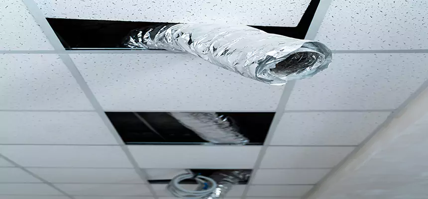 Our Air Duct Pet Hair Removal Services in San Angelo, TX