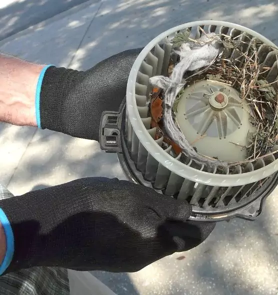 About Air Duct Rat Removal in San Angelo, TX