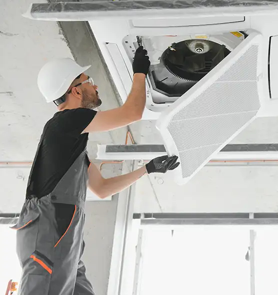 About Air Duct Rodent Removal in San Angelo, TX