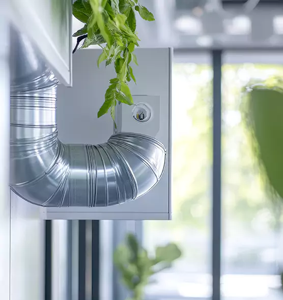 Professional Eco-Friendly Duct Cleaning Services in San Angelo, TX