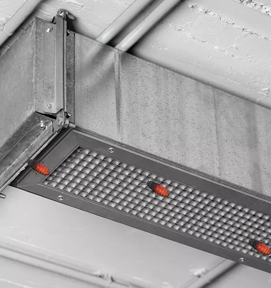 Affordable Insect Removal from Air Ducts in San Angelo, TX