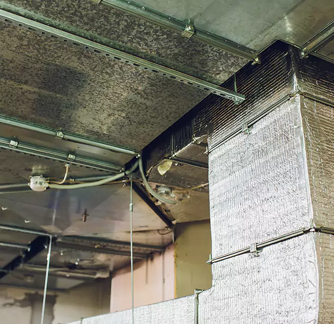 Why Homeowners & Businesses Trust Us in San Angelo, TX?